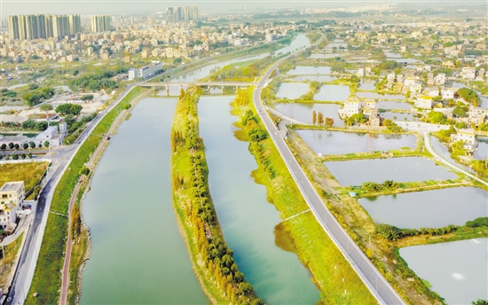 沙坪河經(jīng)過整治，變得水清岸綠景美。
