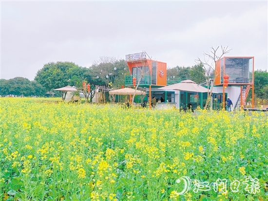 大沙鎮(zhèn)蕉園營地。