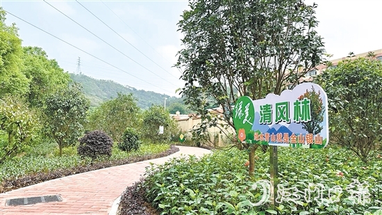 今年以來，金溪社區(qū)大力推進(jìn)綠美生態(tài)建設(shè)。圖為該村的綠化景觀帶。