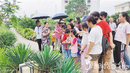 市民在嶺南藥用植物園學(xué)習(xí)辨認(rèn)常用的藥用植物。