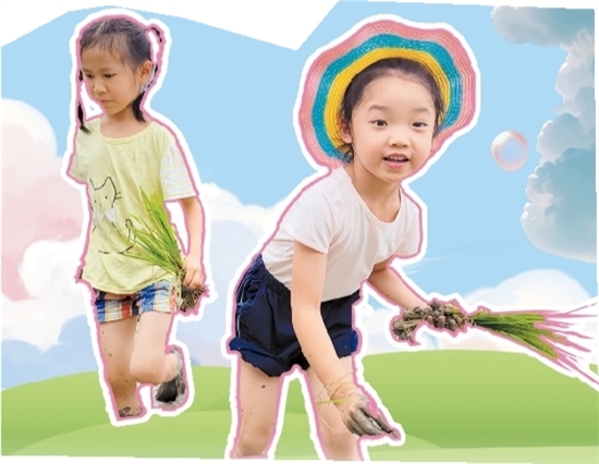 蓬江區(qū)第一幼兒園的小朋友們體驗插秧。