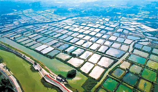古勞鎮(zhèn)大埠村將以強經(jīng)濟、促和美、惠民生為主攻方向，以打造“廣東省休閑農(nóng)業(yè)與鄉(xiāng)村旅游示范點”為目標，以推進中鐵文旅·田園綜合體、美麗漁場、光伏發(fā)電、“云龍競渡”綜合觀光樓等項目為抓手，促進農(nóng)文康旅融合高質(zhì)量發(fā)展。古勞鎮(zhèn)供圖
