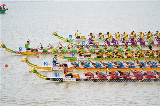 江門(mén)（開(kāi)平）國(guó)際龍舟邀請(qǐng)賽標(biāo)準(zhǔn)龍舟公開(kāi)組邀請(qǐng)了來(lái)自中國(guó)香港、中國(guó)澳門(mén)、俄羅斯、英國(guó)、馬來(lái)西亞、“一帶一路”共建國(guó)家大學(xué)生聯(lián)隊(duì)6支隊(duì)伍參賽。