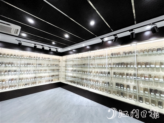 中藥篇展廳中央展區(qū)擺放著近100種藥材。