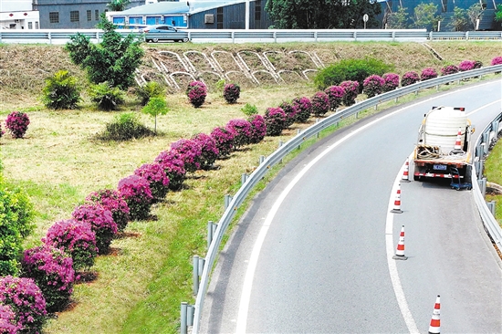 開陽高速公路形成一條路中有景、景中有路的綠美交通廊道。