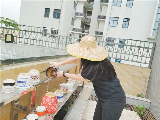 市民清理閑置積水容器，防止蚊蟲孳生。