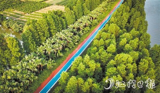江海區(qū)鄉(xiāng)村綠廊碧帶串聯(lián)多個(gè)公園和自然景觀區(qū)，成為市民休閑娛樂(lè)的好去處。