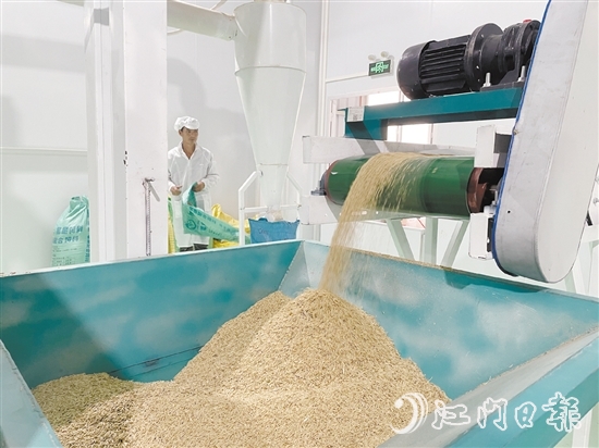 源林生態(tài)有機米的年產(chǎn)量達700噸。