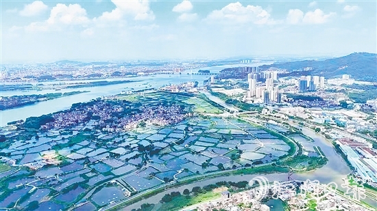 沙坪街道大力開展人居環(huán)境整治大行動，在環(huán)境整治和風貌提升上雙向發(fā)力，運用“加減法”做好鄉(xiāng)村風貌治理，帶動各村（社區(qū)）人居環(huán)境“顏值”再提升。