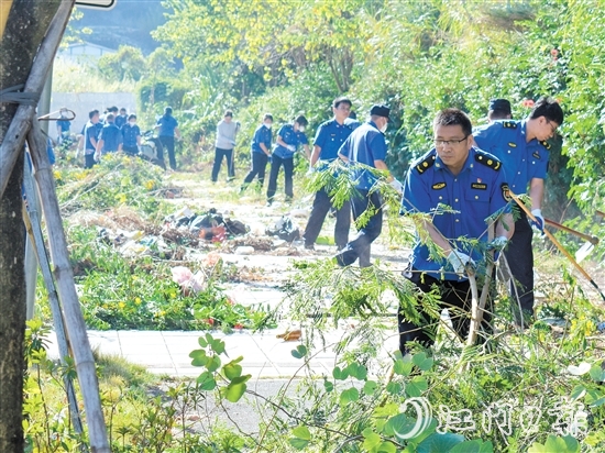 區(qū)城市管理綜合執(zhí)法局在豐樂路省實(shí)江門學(xué)校東門段開展雜草清理工作。