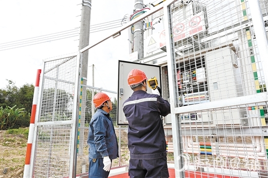 恩平供電局對供電線路進行檢查。