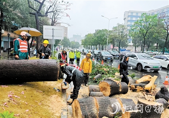 經(jīng)過加急作業(yè)，工作人員完成部分路段的清障工作，讓車輛順利通行。