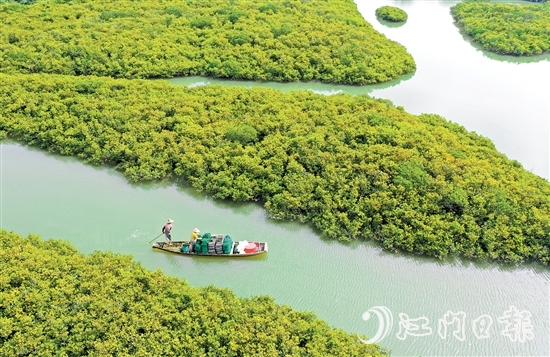 優(yōu)質(zhì)豐富的生態(tài)資源是恩平的核心優(yōu)勢(shì)，也是恩平市推動(dòng)經(jīng)濟(jì)社會(huì)高質(zhì)量發(fā)展的重要依托。