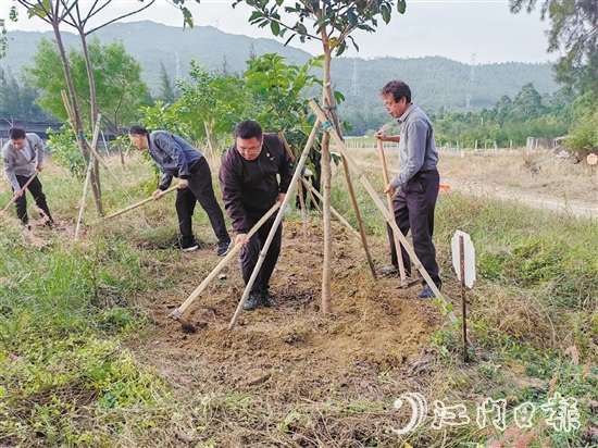 志愿者手持鋤頭，對(duì)每一棵樹木周圍的雜草進(jìn)行清除，并對(duì)土壤進(jìn)行松土處理，確保每一棵樹木都能在良好的土壤環(huán)境中生長(zhǎng)。