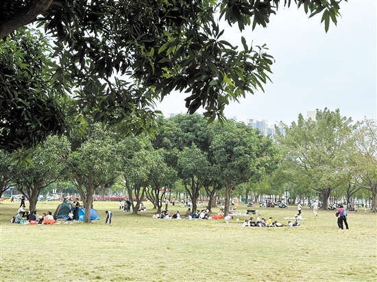 天氣晴好，不少市民到公園草坪露營(yíng)野餐。