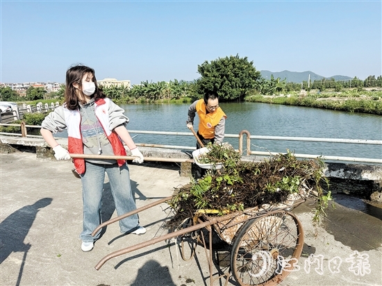 當(dāng)天，黨員干部、志愿者與群眾共同投身于一場清潔行動。