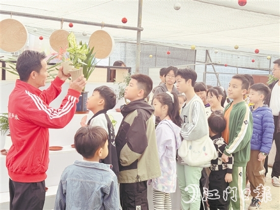 經(jīng)驗(yàn)豐富的園藝導(dǎo)師向青少年們介紹綠植的種類(lèi)、生長(zhǎng)習(xí)性、養(yǎng)護(hù)技巧等知識(shí)。