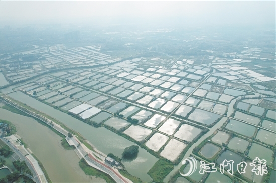 科技特派員助力古勞鎮(zhèn)大力發(fā)展特色漁業(yè)養(yǎng)殖，加快建設(shè)“省級示范性美麗漁場”。