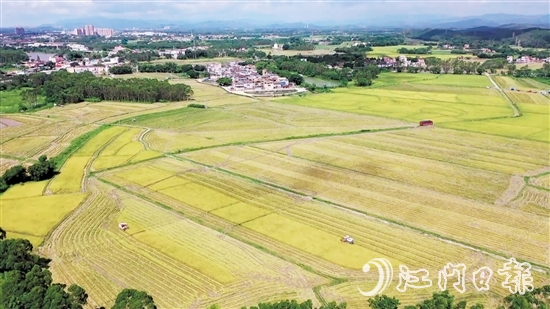南塘村通過“兩預(yù)兩委托”模式，成功整合約73.33公頃（1100多畝）田地，依托農(nóng)村“三資”管理平臺流轉(zhuǎn)給專業(yè)農(nóng)業(yè)公司開展大規(guī)模種植。