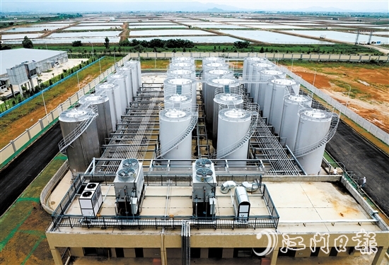 廣東合興食用油有限公司將新廠區(qū)建在了斗山鎮(zhèn)。