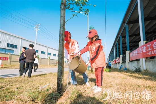 2024年，臺(tái)山市植樹10.2萬(wàn)株，完成計(jì)劃任務(wù)的144%。