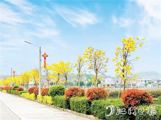 南合村的“顏值”不斷提升。
