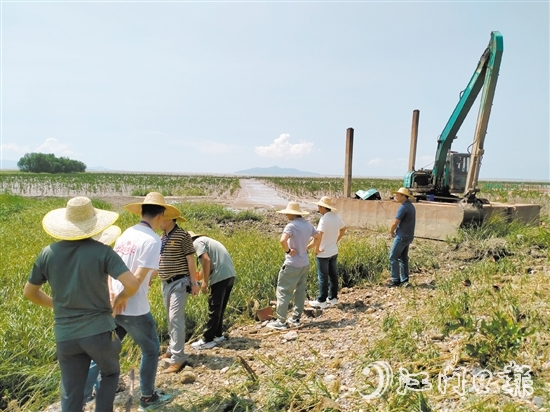 人大代表到紅樹林保護(hù)區(qū)進(jìn)行實(shí)地調(diào)研。