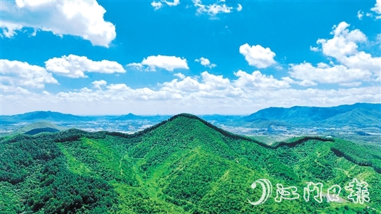 鶴山市現(xiàn)有林地面積54333.33公頃（81.5萬畝），2024年5月，鶴山市被選為廣東唯一、全國(guó)21個(gè)開展林權(quán)登記試點(diǎn)工作的縣（市、區(qū)）之一。