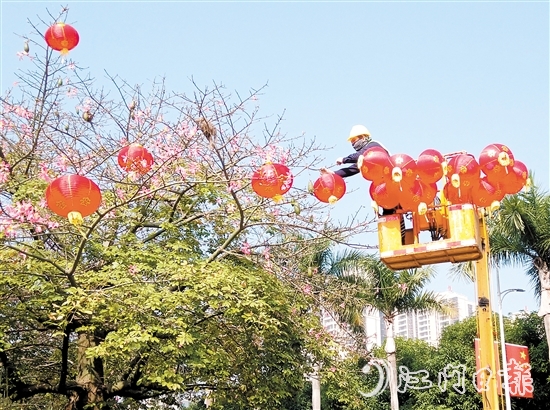 在臺山城區(qū)街頭，大紅燈籠高高掛起，將城市街道裝點得喜氣洋洋。