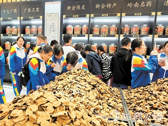 在陳皮展廳，同學(xué)們學(xué)習(xí)辨識不同年份的陳皮。