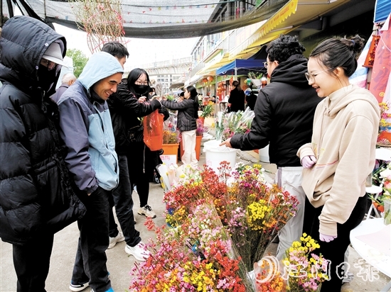 不少市民來(lái)到禮樂(lè)街道迎春花市選購(gòu)年花。陳嬋