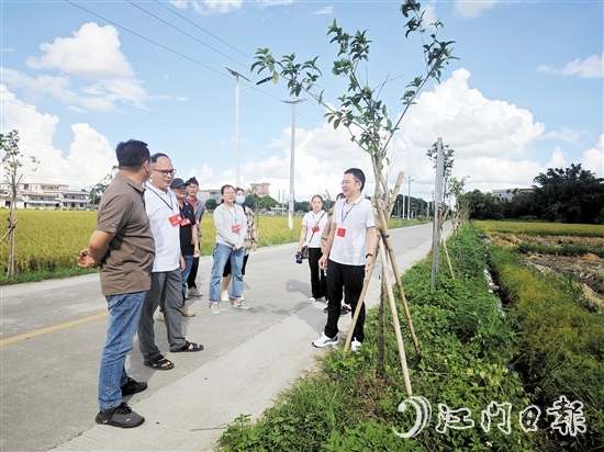 牛江鎮(zhèn)人大組織代表到高聯(lián)村開展視察調(diào)研。