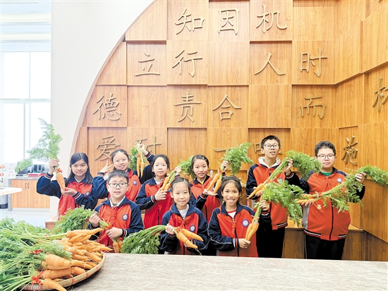 江海區(qū)景賢小學寒假志趣作業(yè)獲獎學生收到了該校學生親手栽種的胡蘿卜。