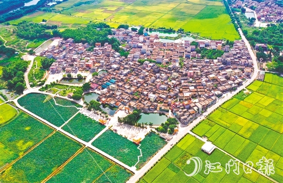 恩平市深入開展綠美生態(tài)建設(shè)，人居環(huán)境持續(xù)提升。