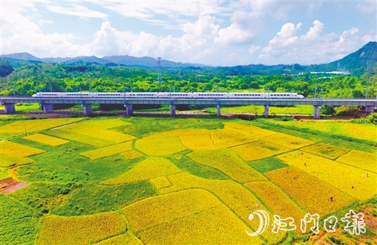 恩平市不斷完善交通網(wǎng)絡(luò)，推進(jìn)深度融灣。圖為江湛鐵路經(jīng)過恩平。