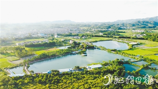 橫東村特色農(nóng)業(yè)發(fā)展勢(shì)頭較好。