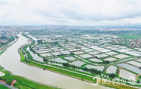 古勞鎮(zhèn)發(fā)動(dòng)魚塘養(yǎng)殖戶開展魚塘清淤，推動(dòng)魚塘養(yǎng)殖增產(chǎn)增收。