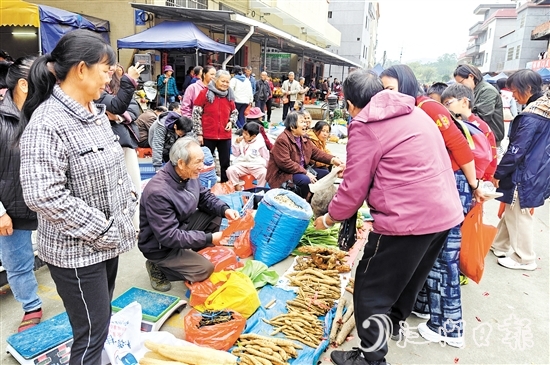 農(nóng)戶將自家種的土特產(chǎn)拿到圩市售賣(mài)。