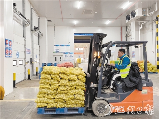 恩平馬鈴薯品質(zhì)優(yōu)、口感好，在東南亞市場擁有良好的口碑。