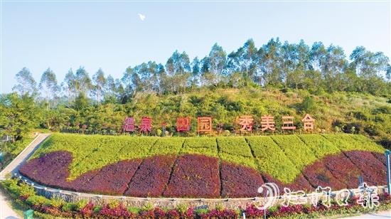 三合鎮(zhèn)是臺山城區(qū)的“后花園”，地理位置得天獨厚。