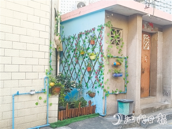 家門口的立體小花園為禾岡村注入生機(jī)與活力。