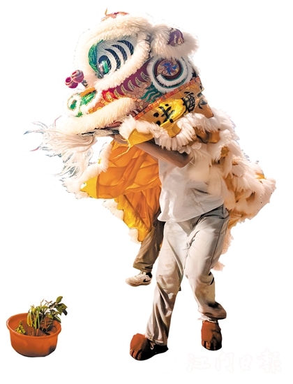 花炮會(huì)上，醒獅采青表演十分精彩。