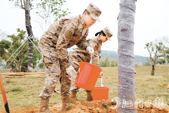 江門軍分區(qū)官兵、民兵參加義務(wù)植樹活動。