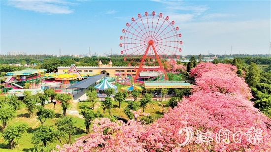依托禮樂街道獨特旅游資源，長廊生態(tài)園開發(fā)研學(xué)旅游項目，賦能“江門三點三精彩之旅”品牌建設(shè)。