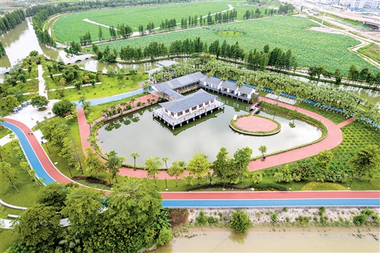 江海區(qū)禮樂河水利風(fēng)景區(qū)。