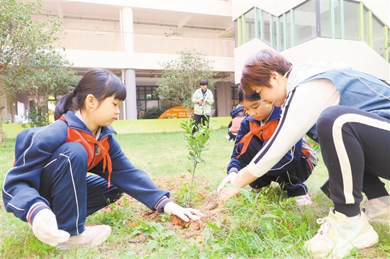 江門一中附屬小學(xué)師生攜手添綠。