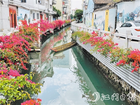 外海街道直沖村一河兩岸花團(tuán)錦簇，美景如畫。