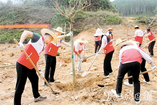 在植樹活動中，大家揮鍬培土，干勁十足，為恩平增添綠意，為全運會舉辦貢獻自己的力量。