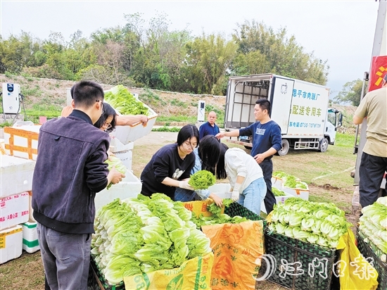 “恩平菜”在米倉村現(xiàn)場發(fā)貨，新鮮到達(dá)五邑各地市民餐桌。