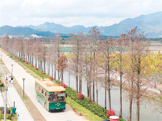 游客坐上“鐺鐺車”，欣賞沿途的美景。